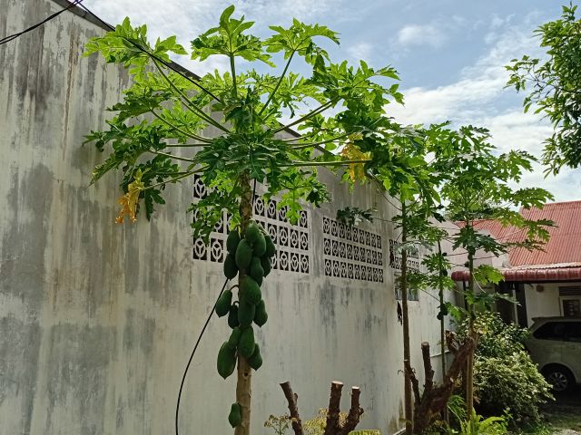 Banda Aceh